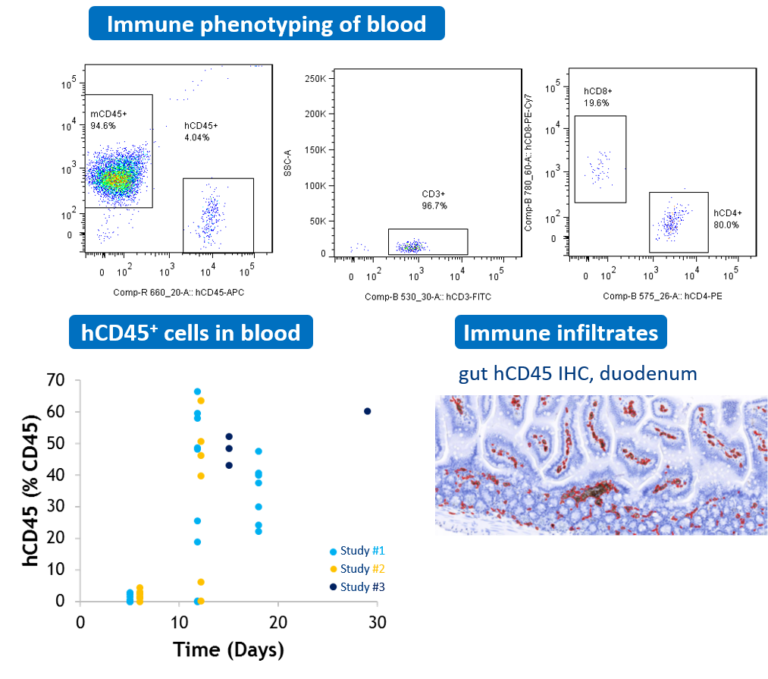 Systemic Inflammation Models | Preclinical CRO Services