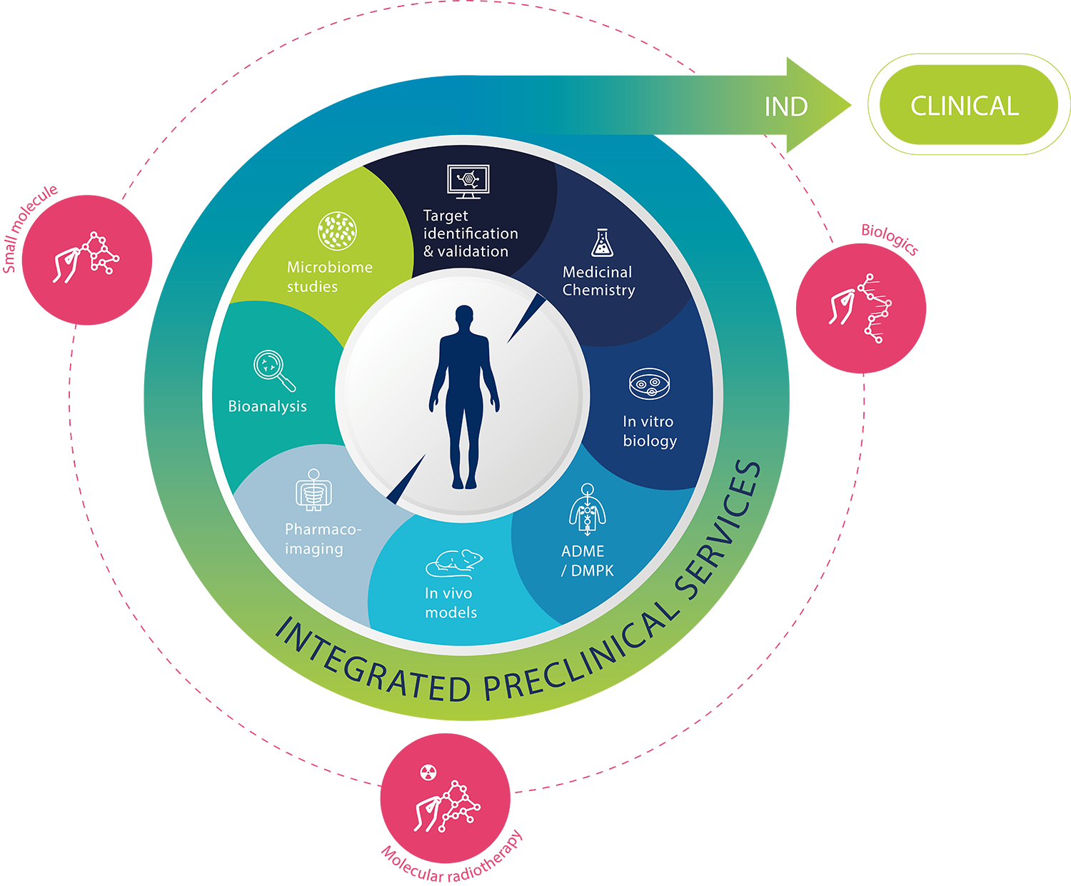 Preclinical CRO Services 👨‍🔬 | Oncodesign Services