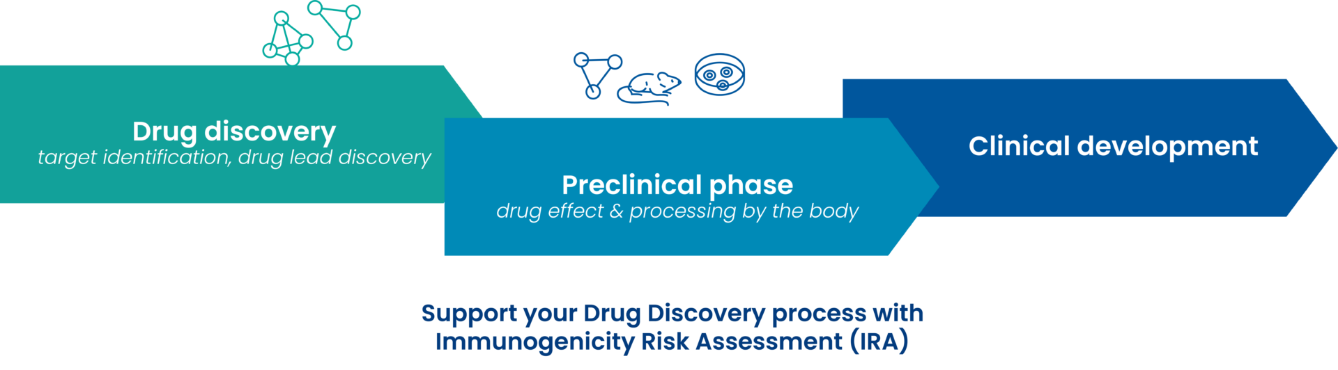 Immunogenicity testing in preclinical studies | CRO services