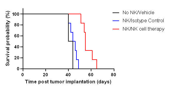 In vivo evaluation of NK cell therapy