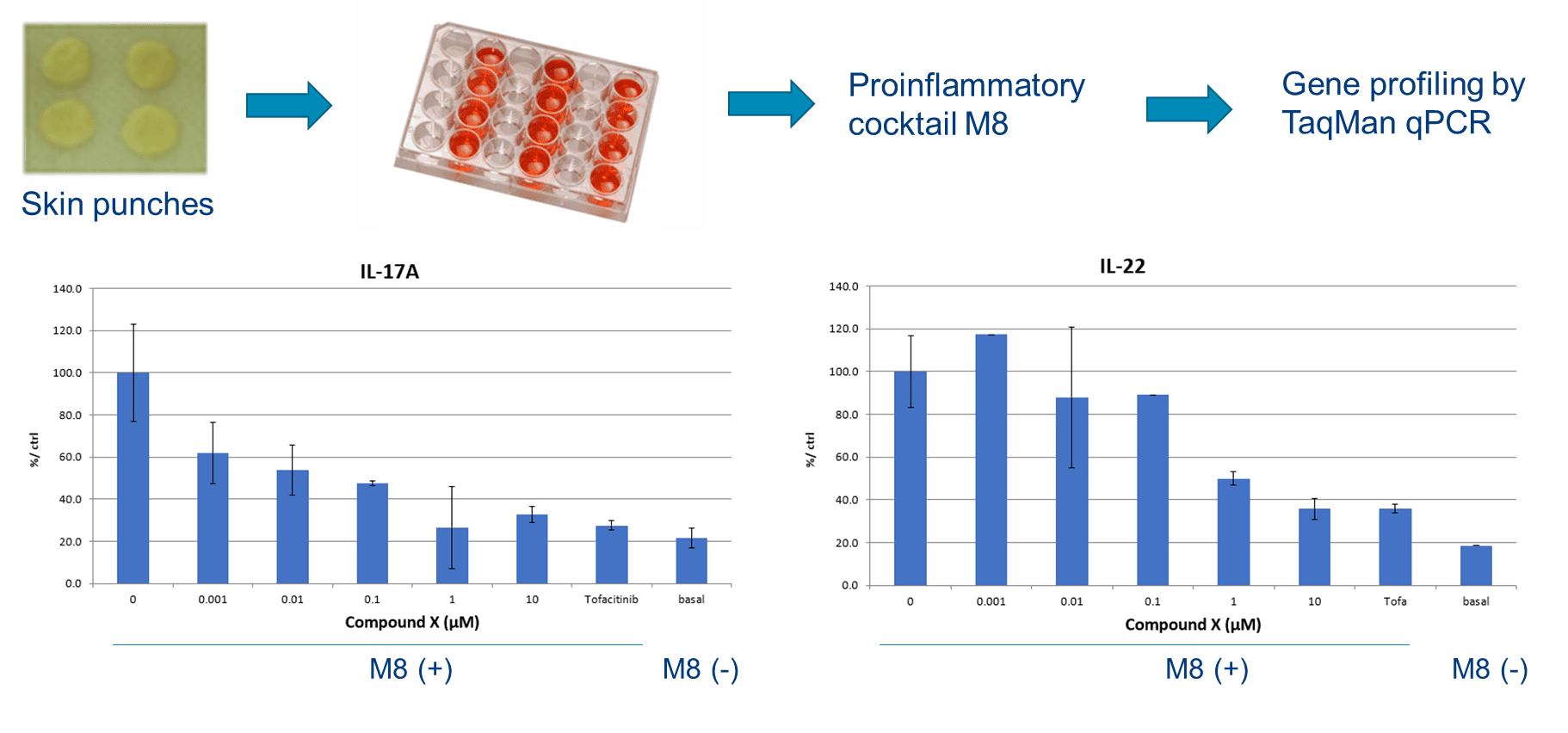 Ex vivo models | Translational pharmacology | Drug development