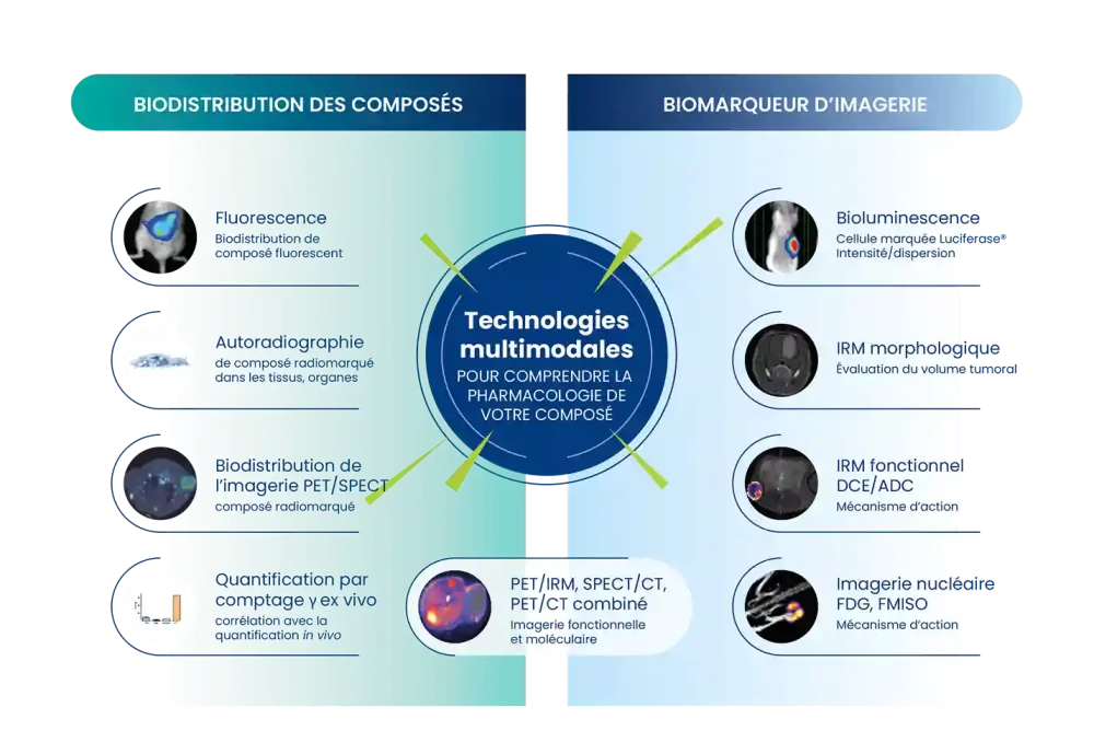 Comprendre la pharmacologie de vos composés avec des technologies multimodales en imagerie préclinique | SOLO Pharmaco-ImagerieComprendre la pharmacologie de vos composés avec des technologies multimodales en imagerie préclinique | SOLO Pharmaco-Imagerie