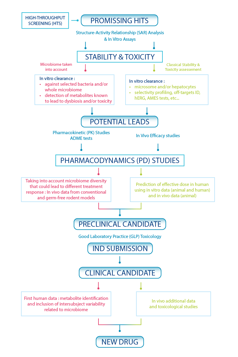 Drug discovery assay cascade including microbiome-based assays