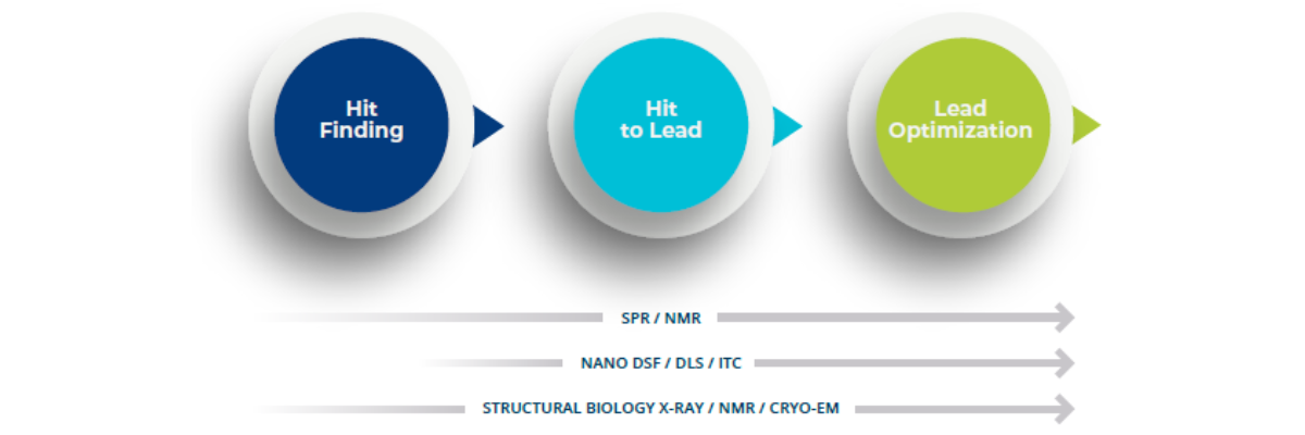 Schema: from hit finding to lead optimization