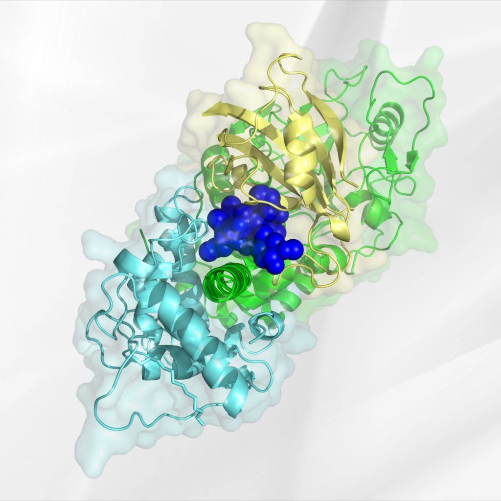 Graphic example of a molecular glue